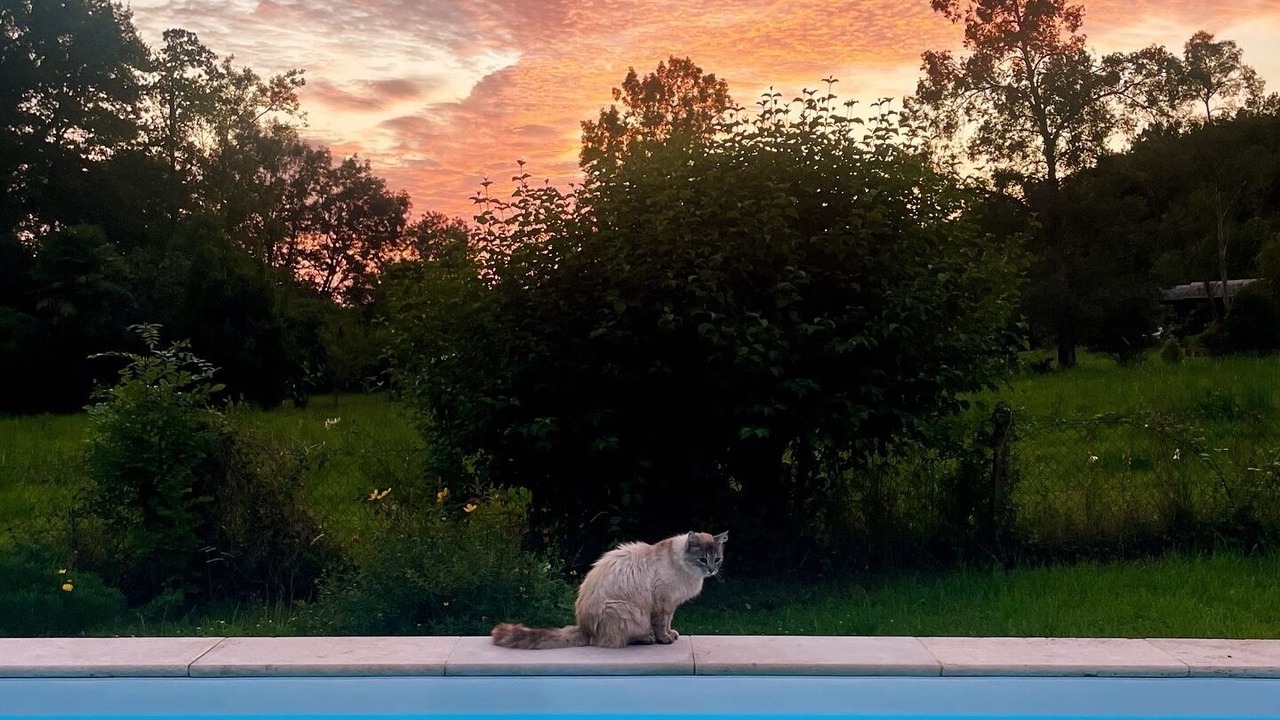 Photo of Outdoor in Espoey