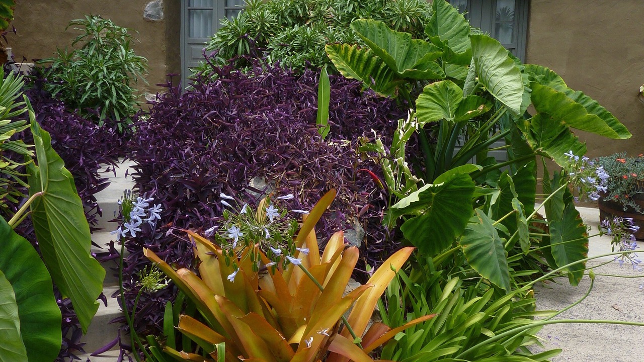 Photo of Outdoor in Las Aguas
