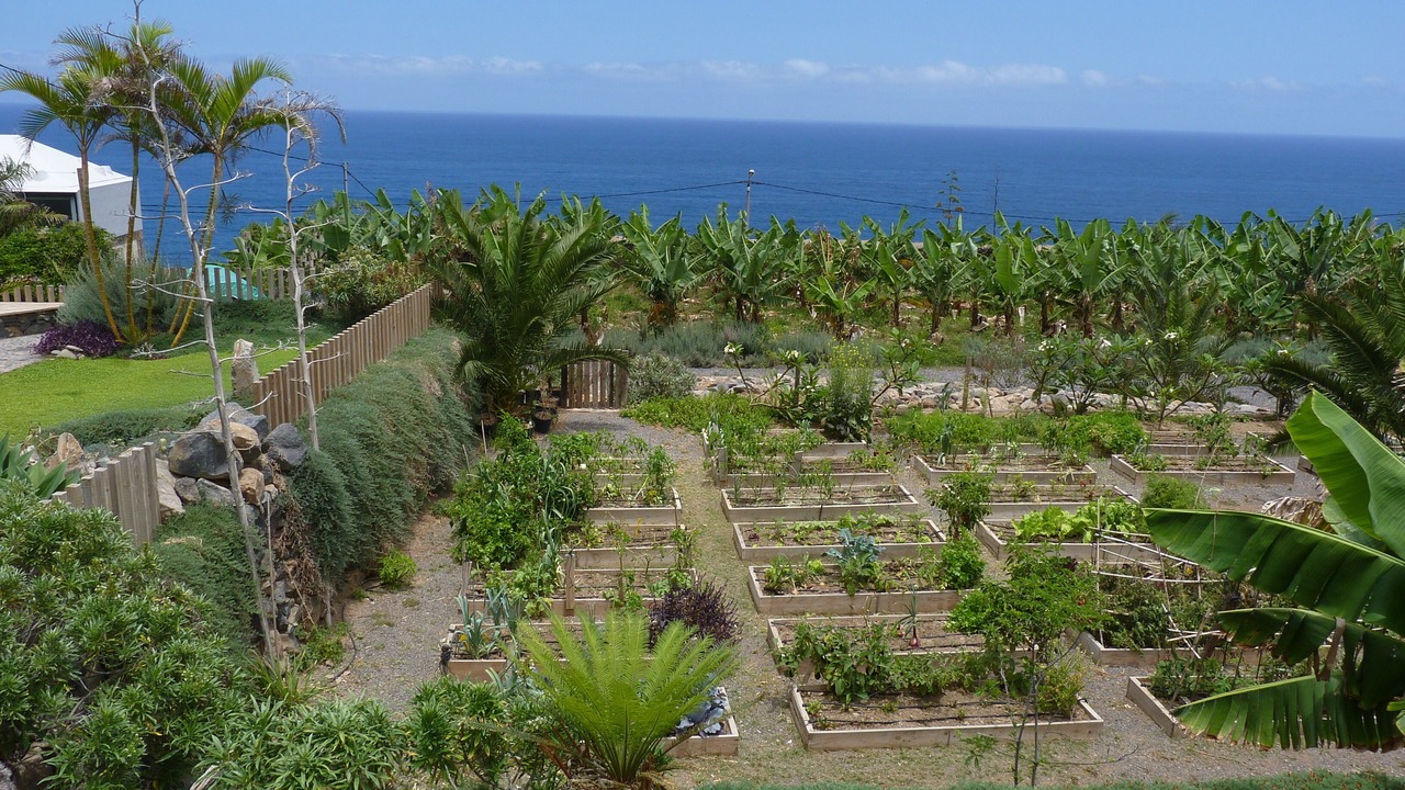 Photo of Outdoor in Las Aguas