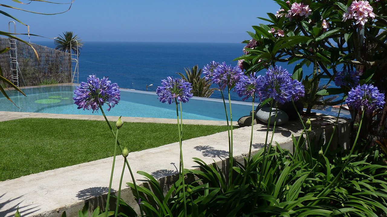 Photo of Outdoor in Las Aguas