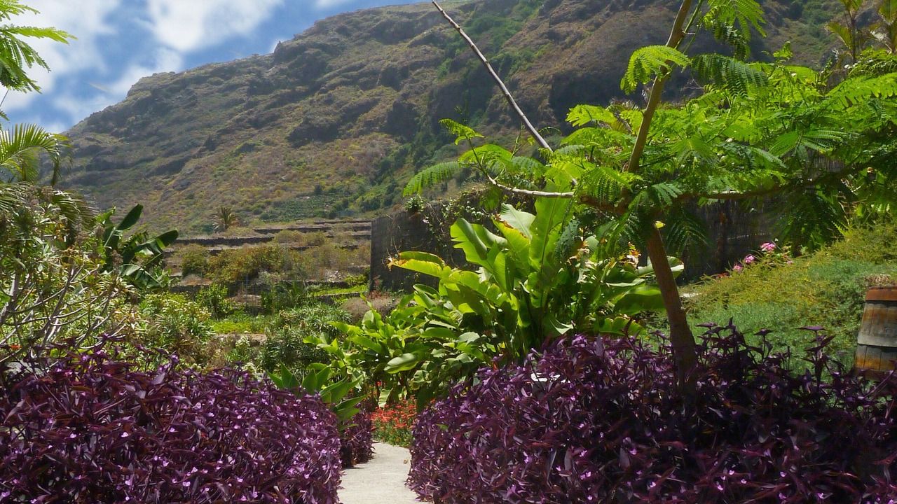 Photo of Outdoor in Las Aguas