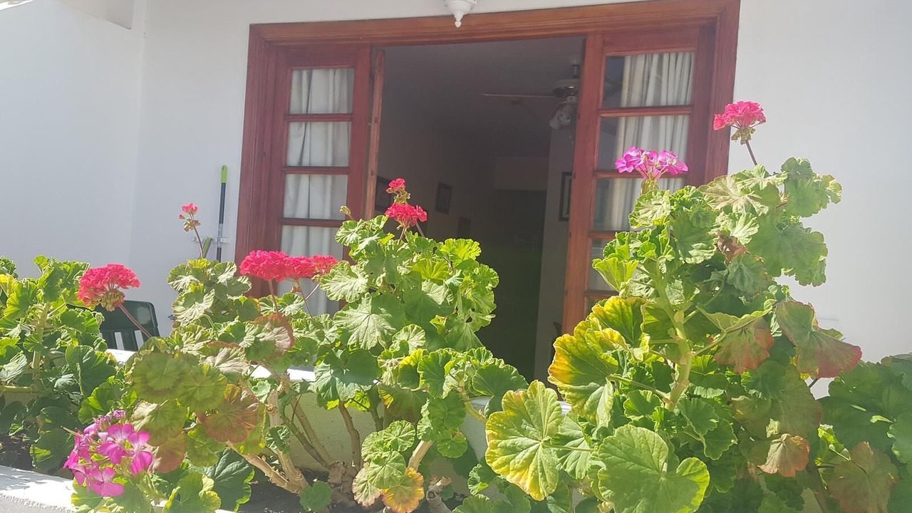 Photo of Outdoor in San Eugenio