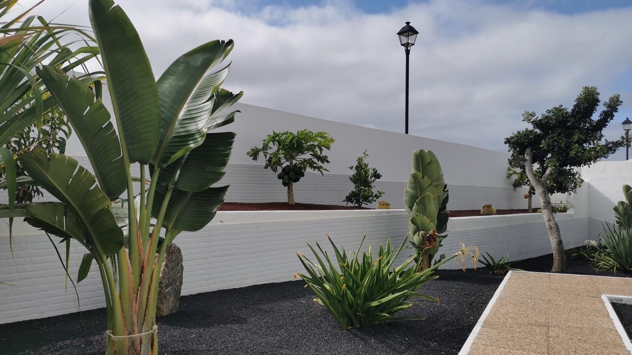 Photo of Outdoor in Teguise