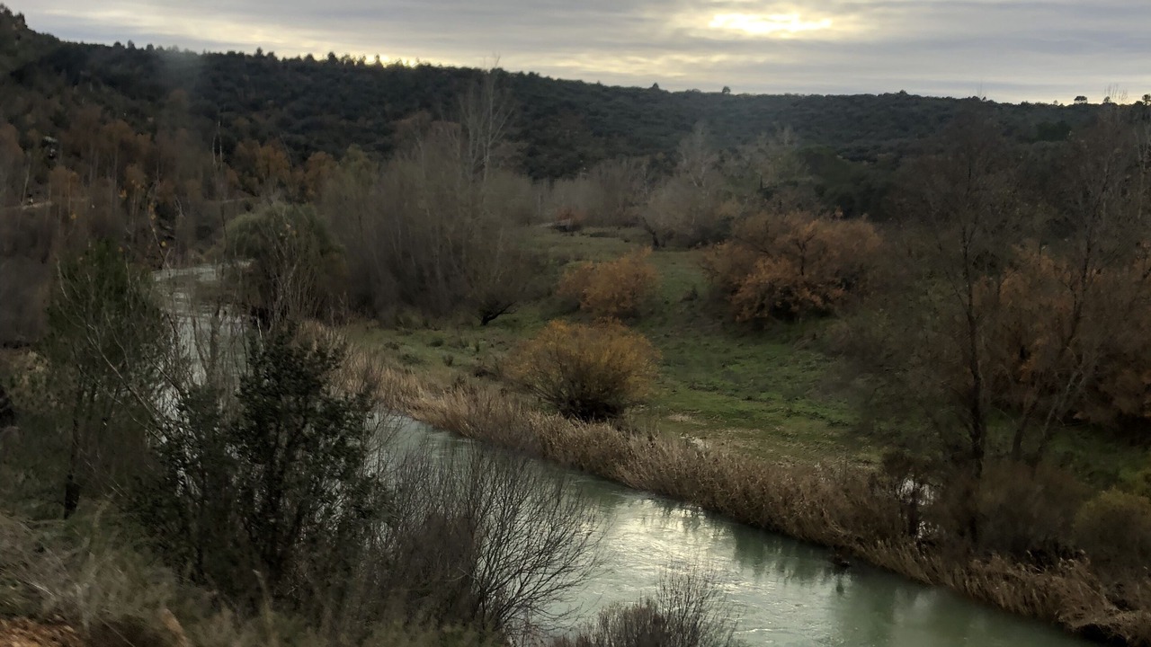 Photo of Others in Sacedon