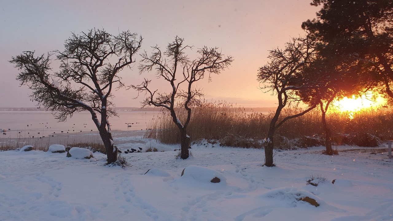 Photo of Others in Ziemitz