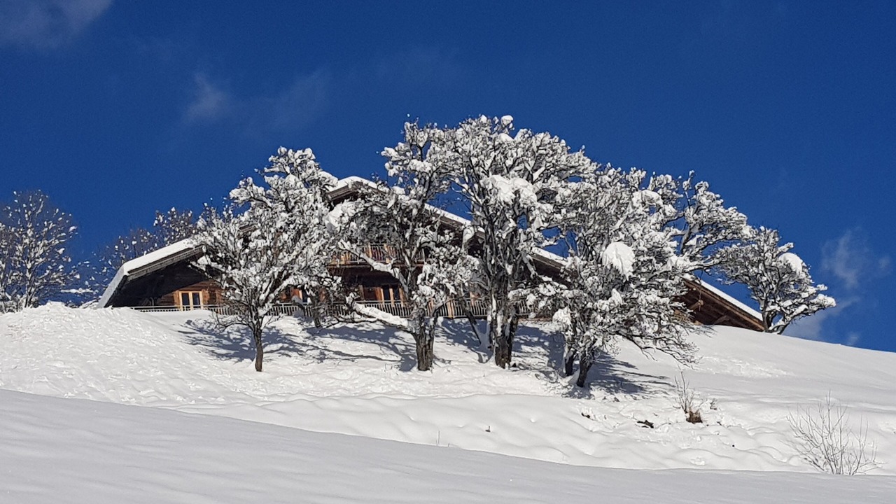 Photo of Outdoor in Hauteluce