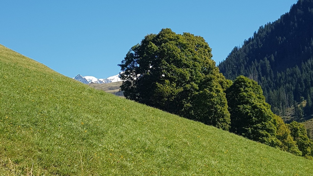 Photo of Others in Hauteluce