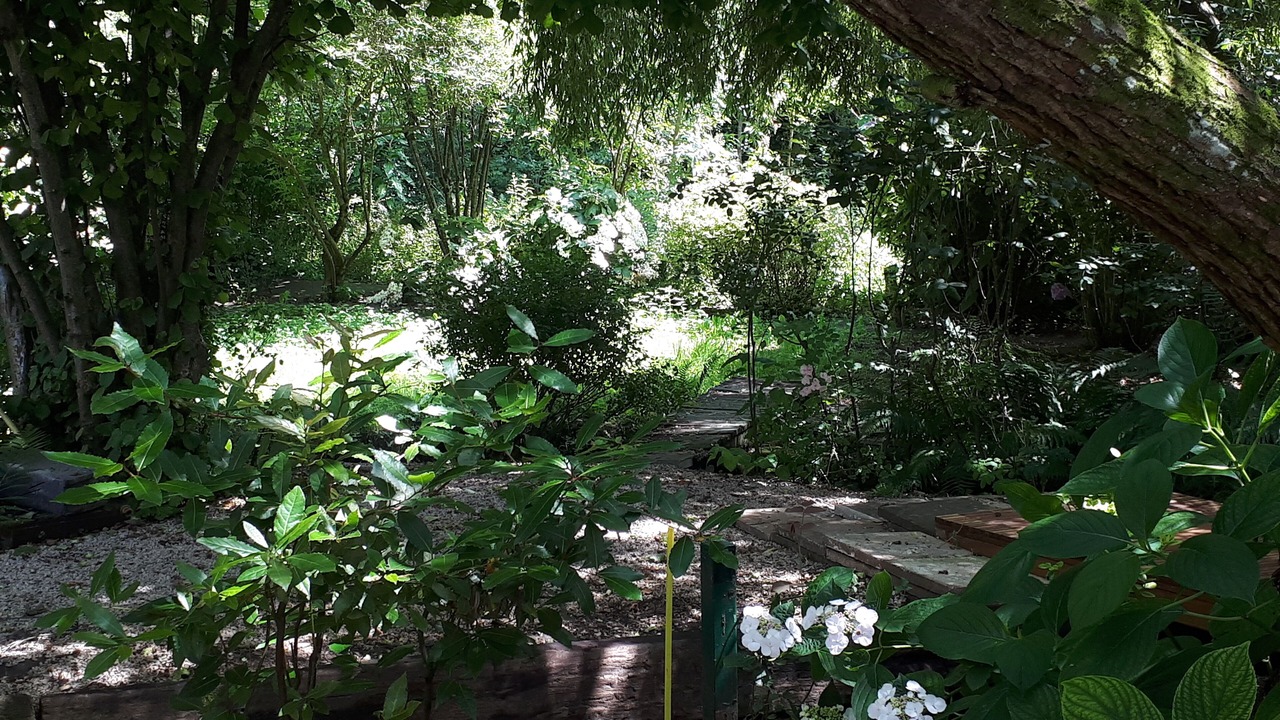 Photo of Outdoor in Odos