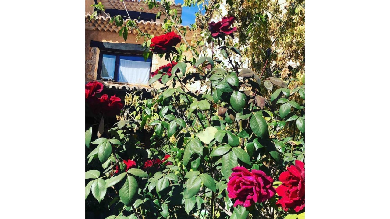 Photo of Outdoor in El Olivar