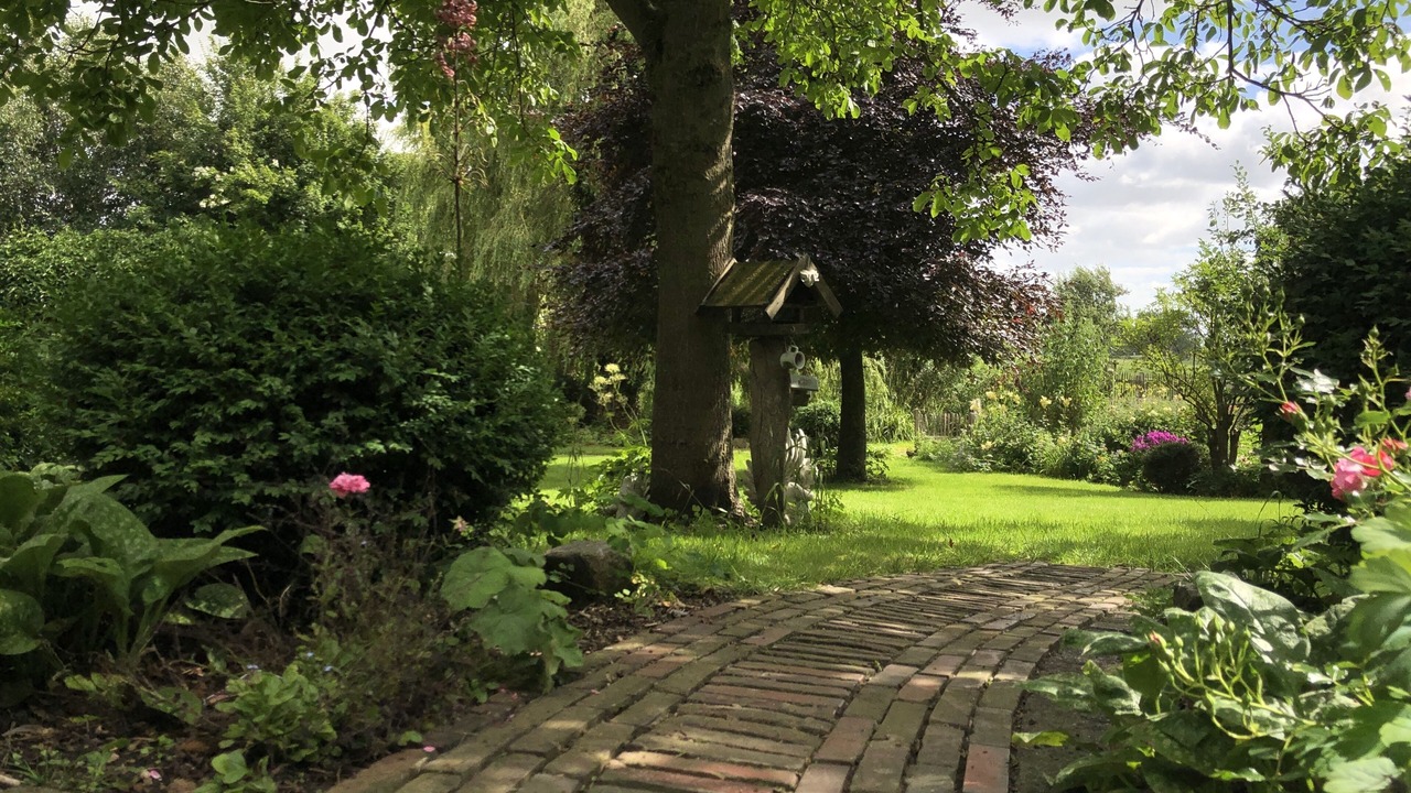 Photo of Outdoor in Kotzenbull