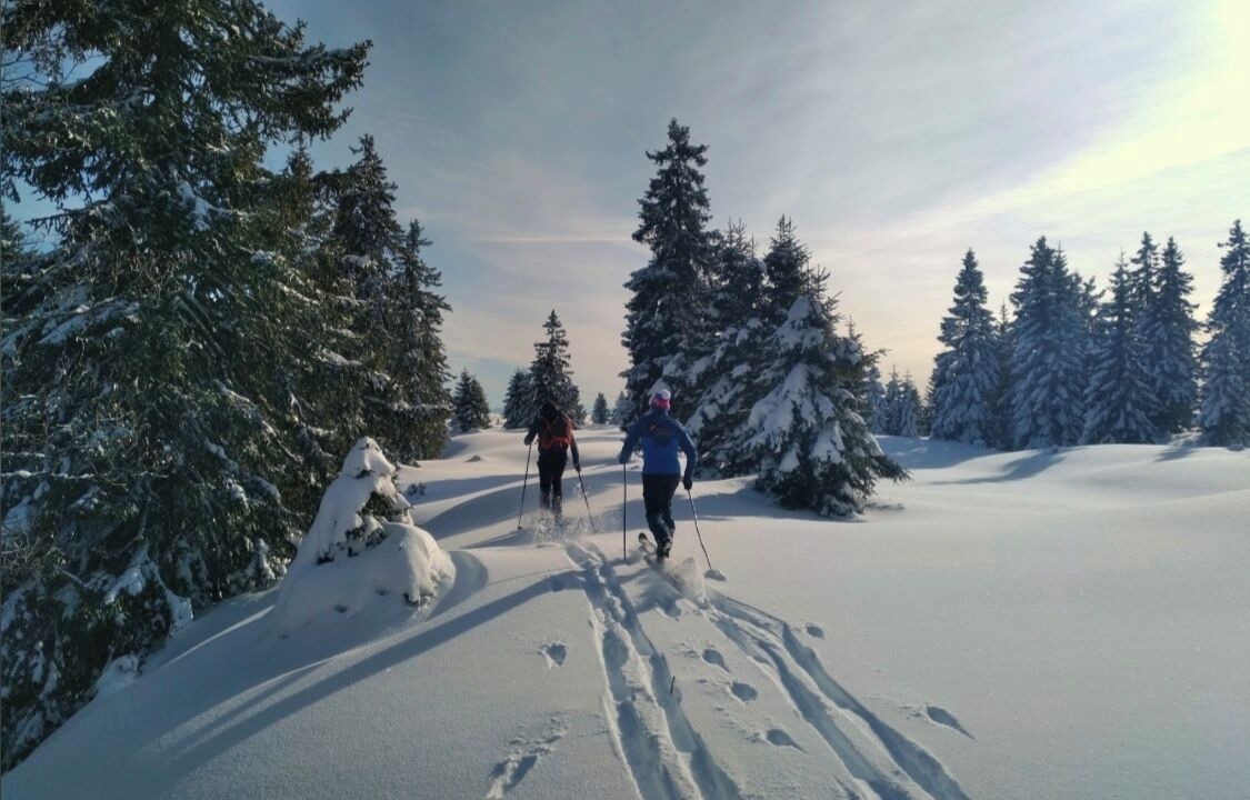Photo of Others in Saint-Antoine