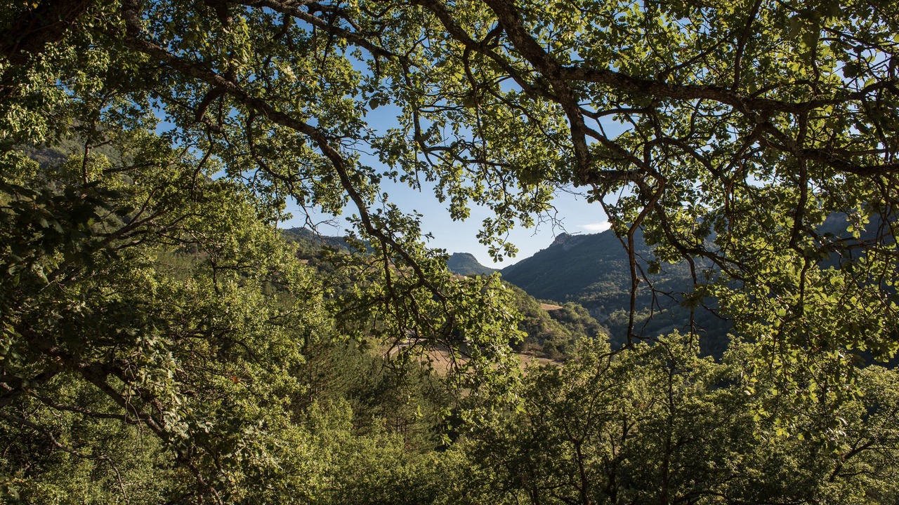 Photo of Outdoor in Montaulieu