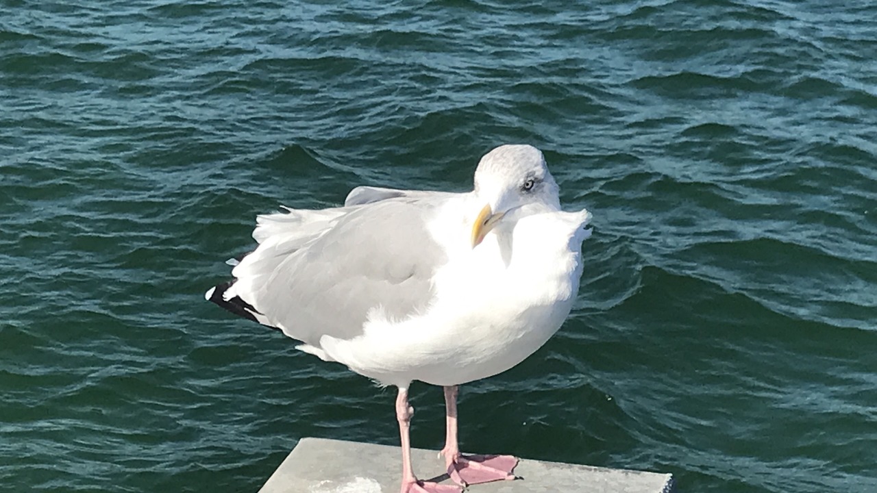 Photo of Others in Gronenberg