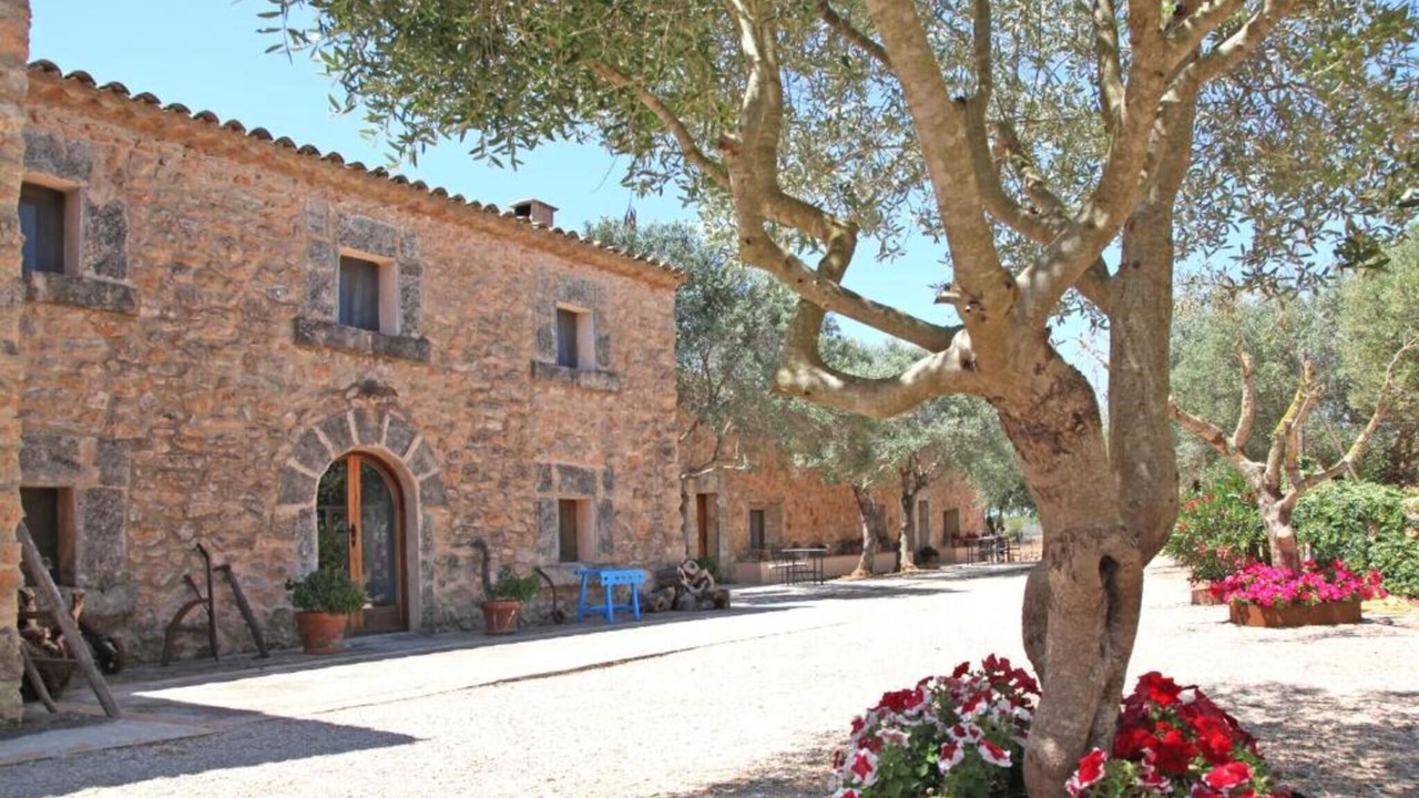 Photo of Outdoor in Son Antem