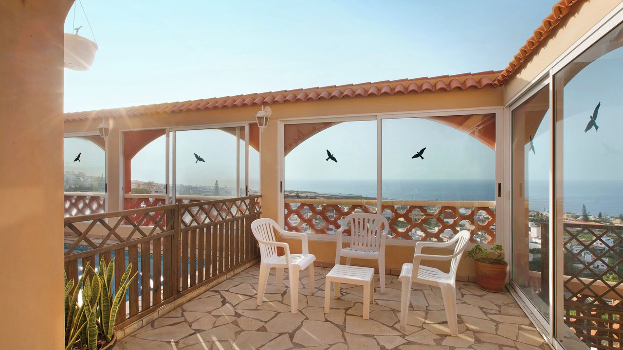 Photo of Outdoor in Tejina
