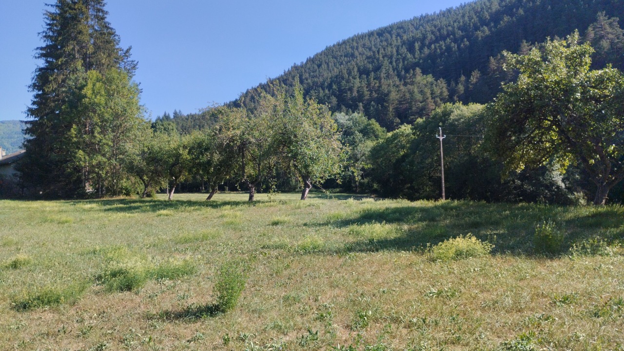 Photo of Outdoor in Meyrueis
