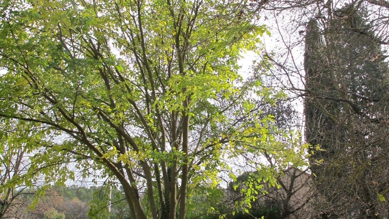 Photo of Outdoor in Greasque