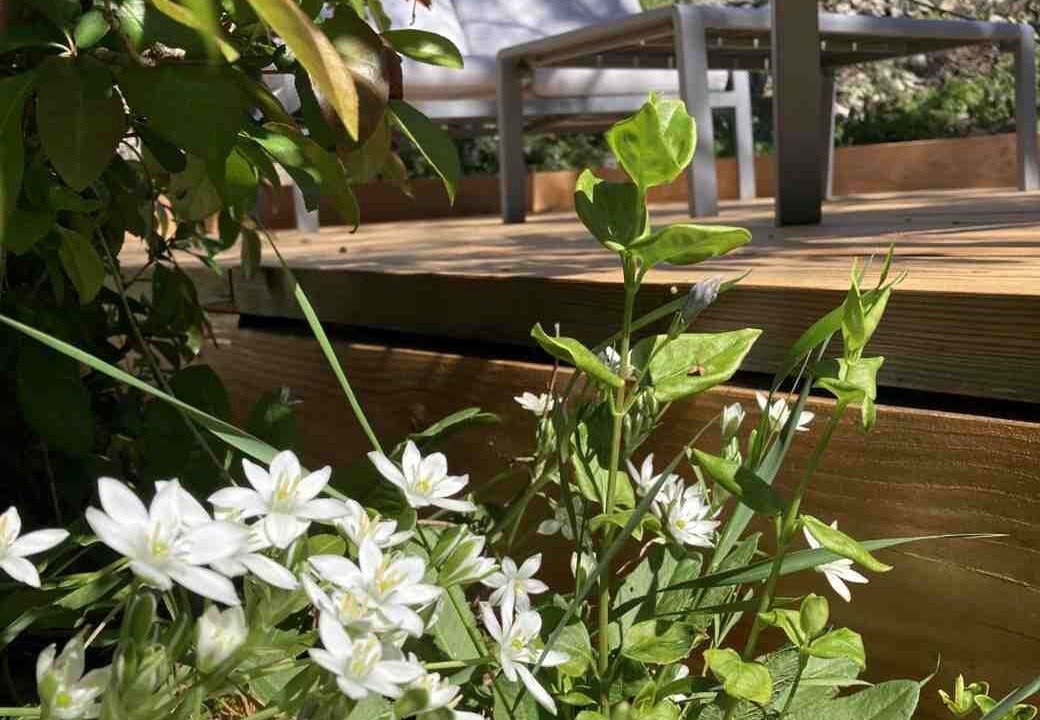 Photo of Outdoor in Lagorce