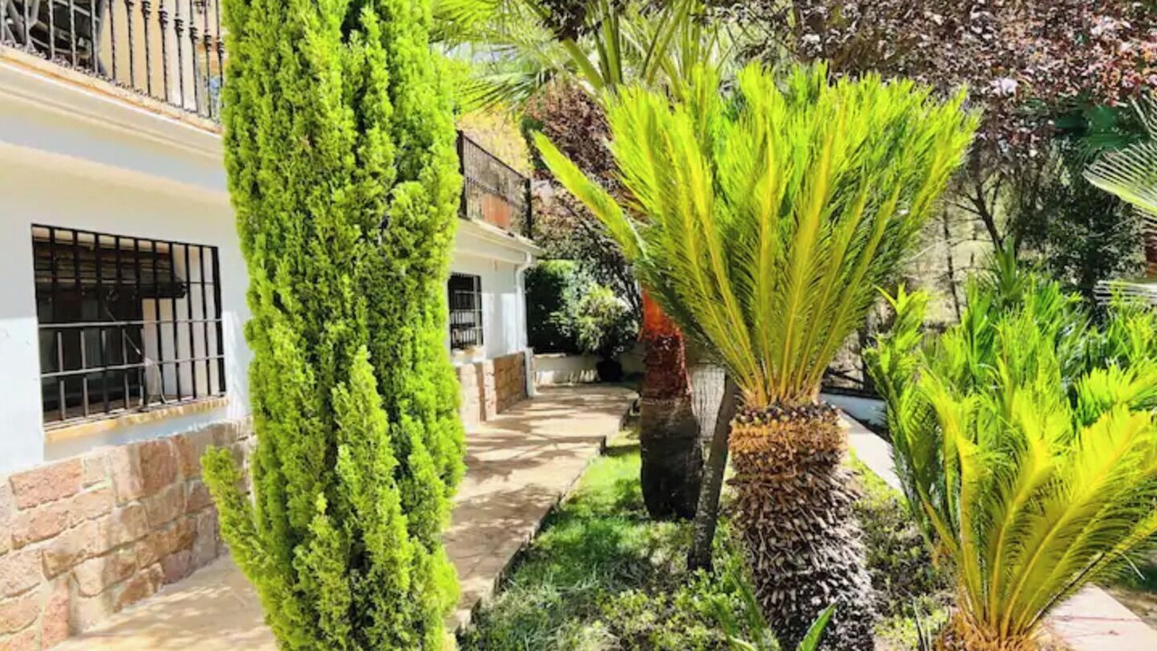 Photo of Outdoor in Las Jaras