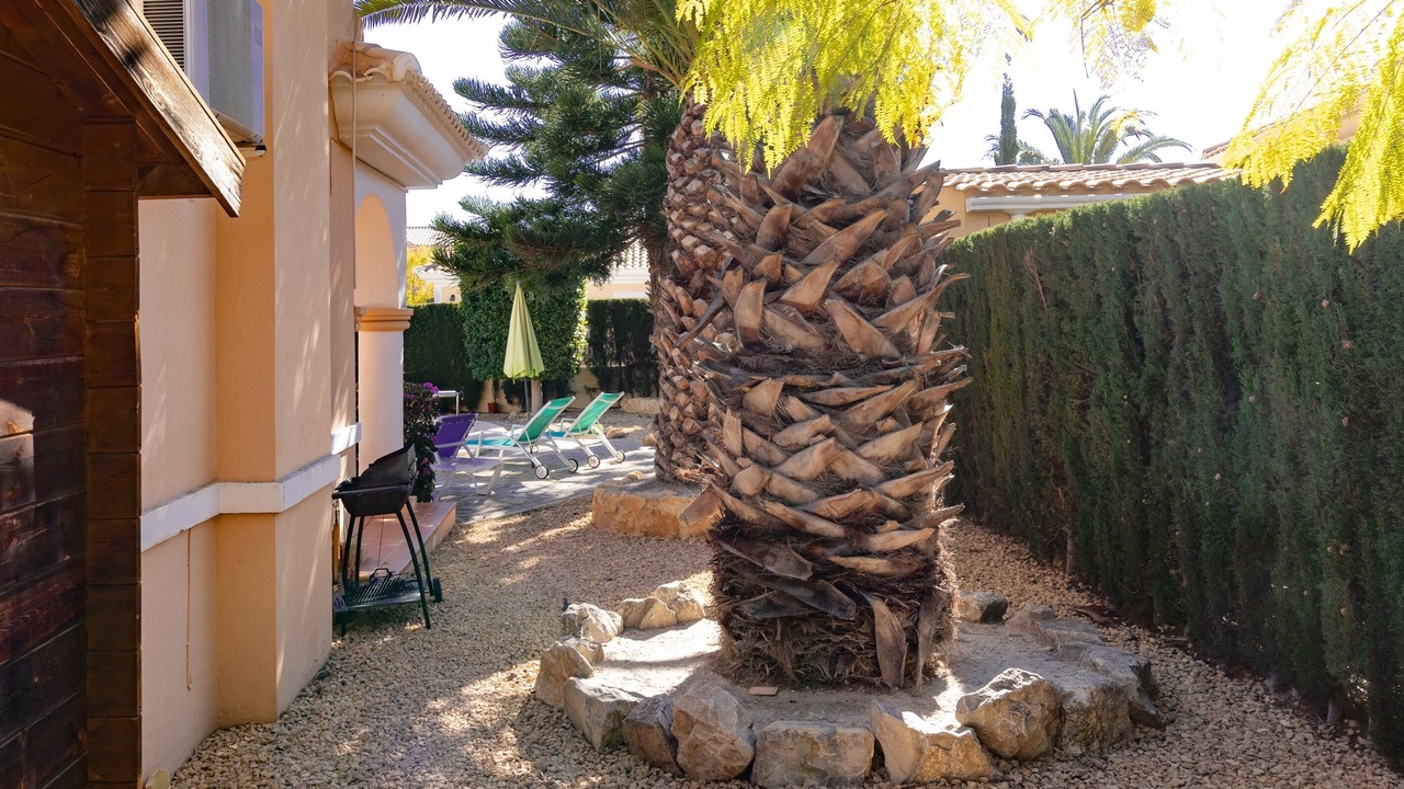 Photo of Others in Hoya de los Patos