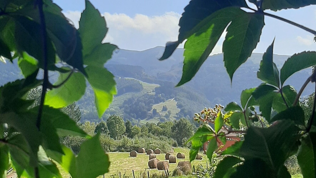 Photo of Outdoor in Trucios-Turtzioz