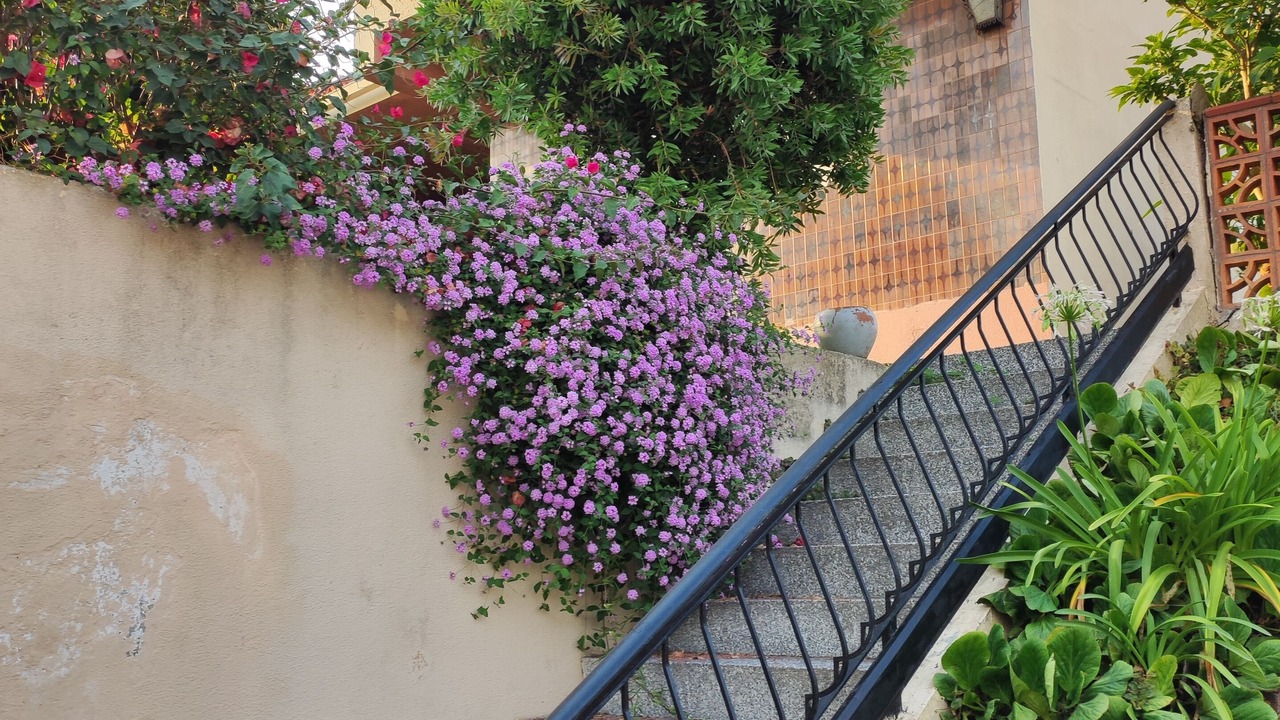 Photo of Outdoor in Nigran