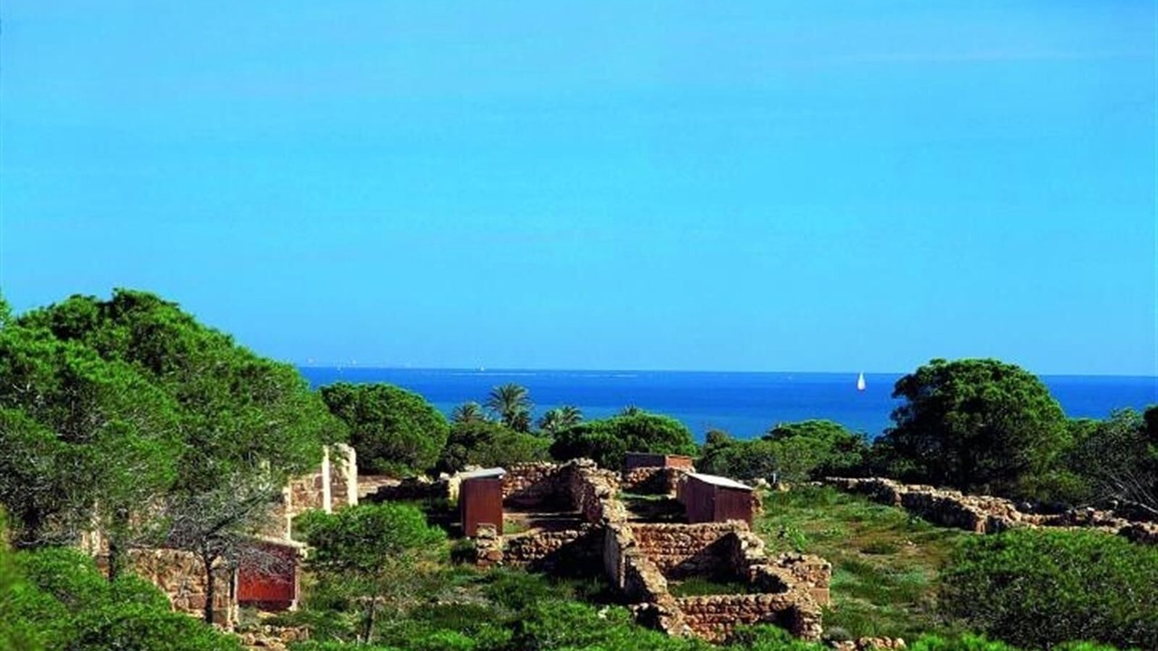 Photo of Others in El Moncayo