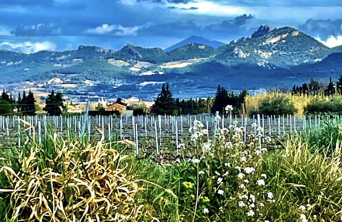 Photo of Outdoor in Violes