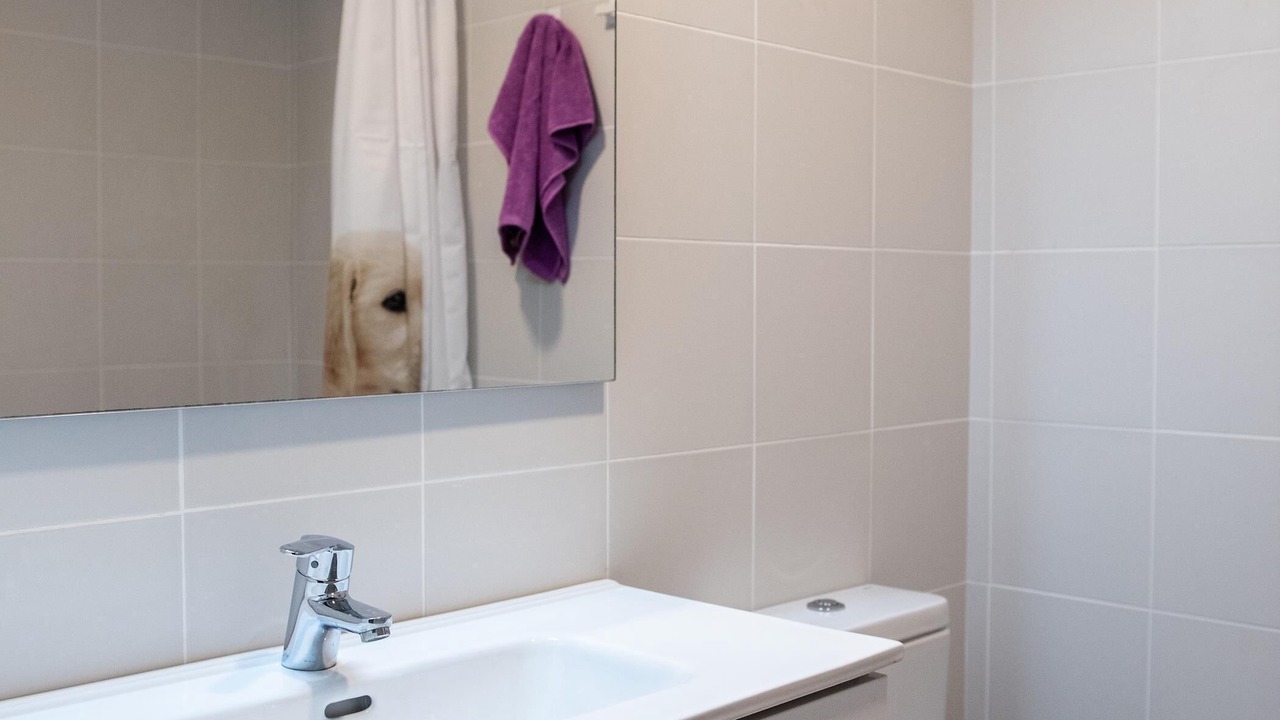Photo of Bathroom in Calella