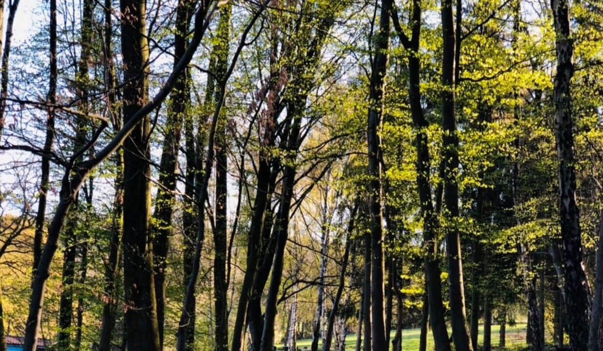Photo of Outdoor in Potzwenden