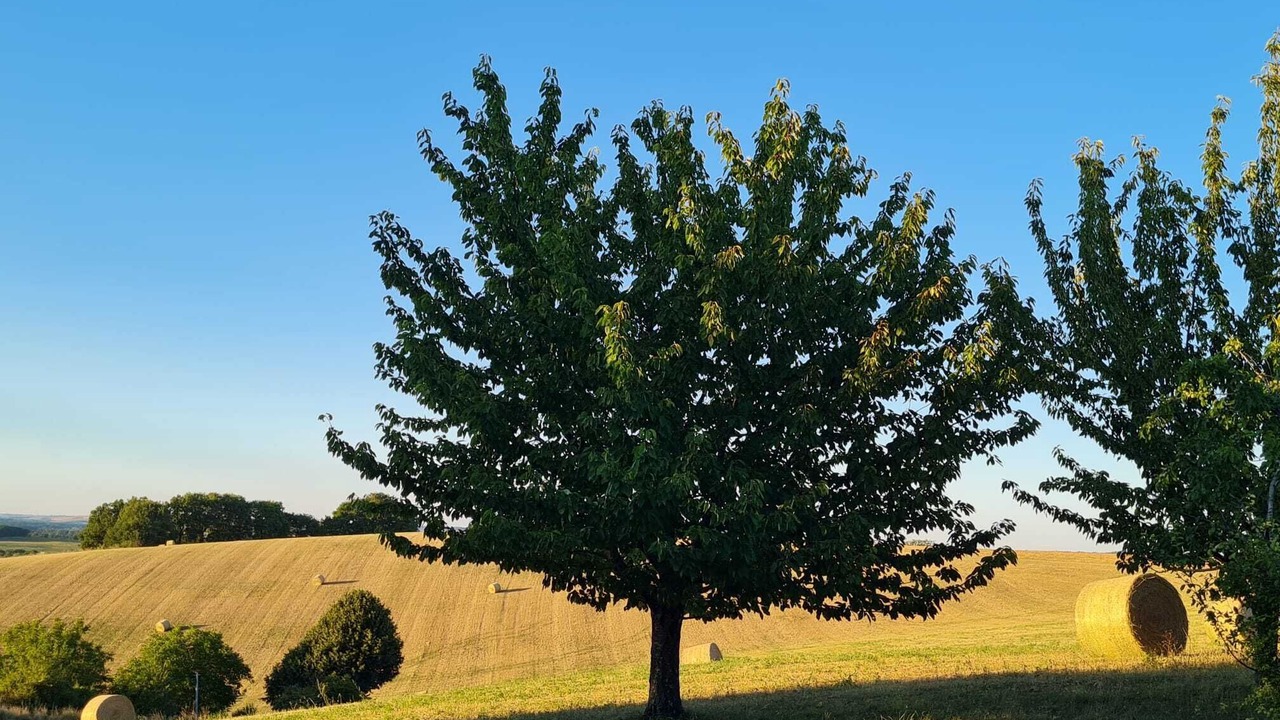Photo of Outdoor in Lectoure