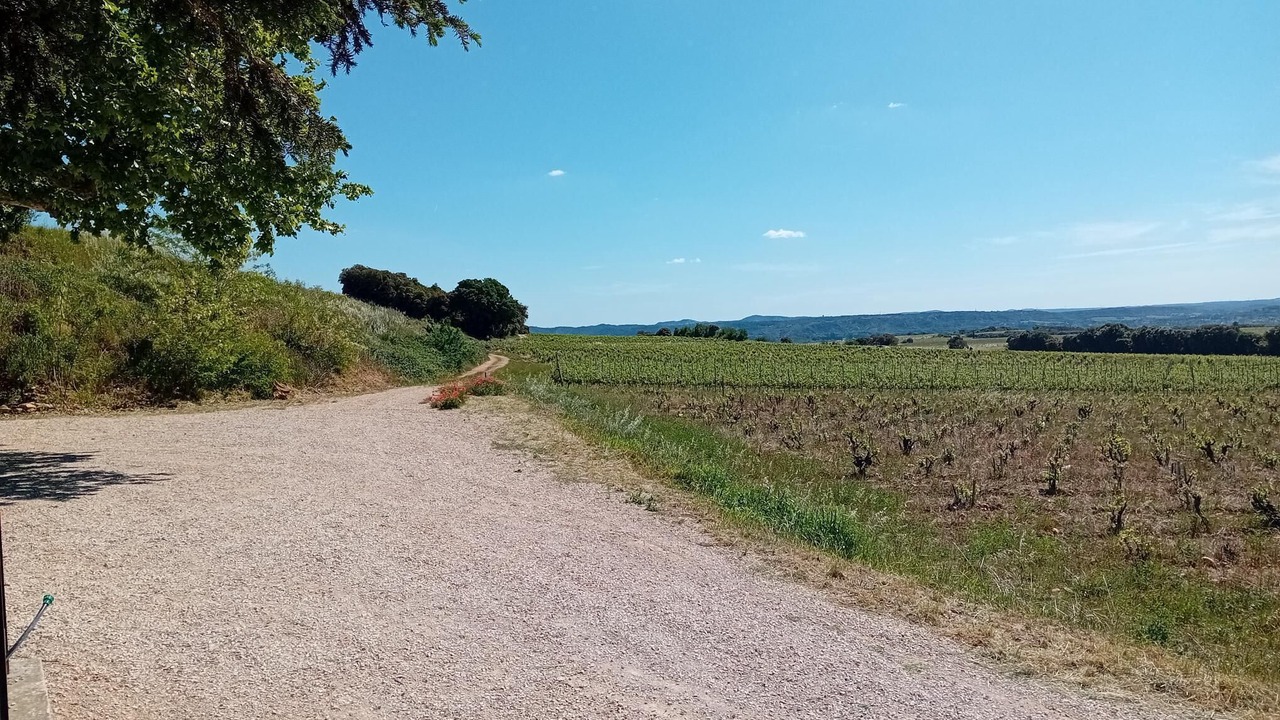 Photo of Others in Chateauneuf-du-Pape