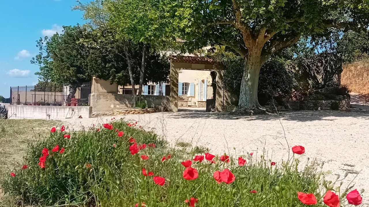 Photo of Outdoor in Chateauneuf-du-Pape