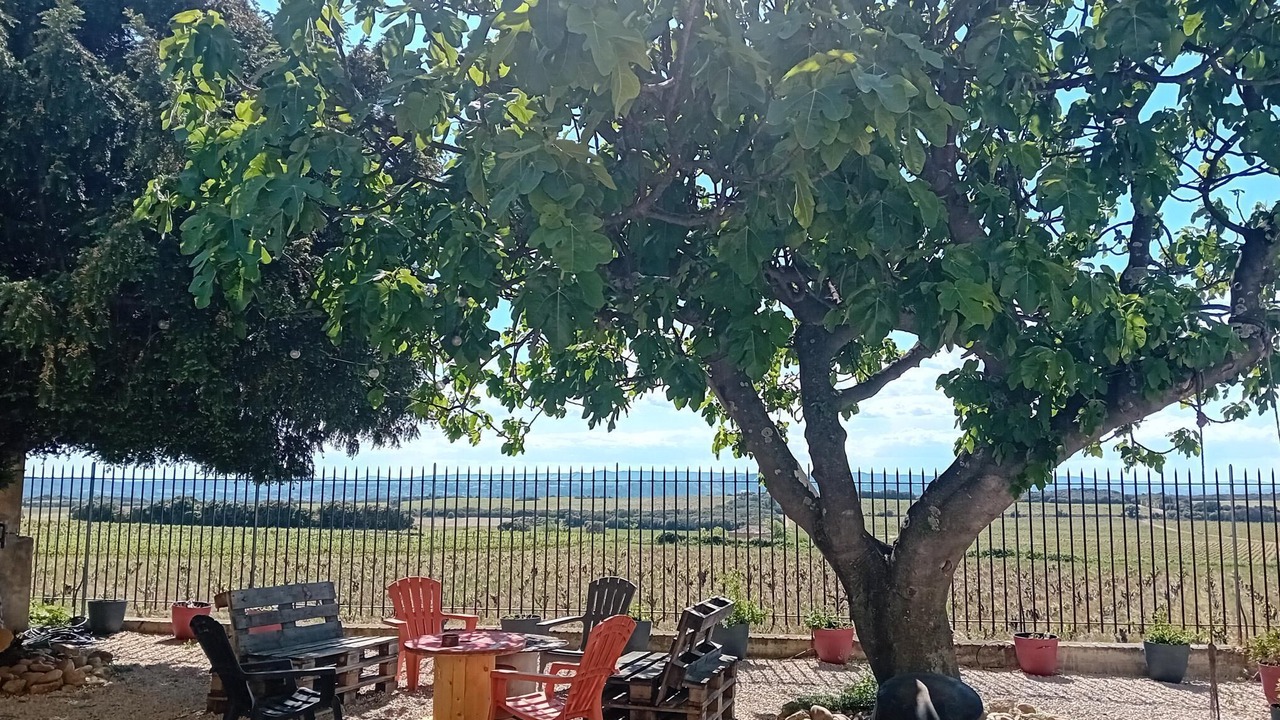 Photo of Outdoor in Chateauneuf-du-Pape