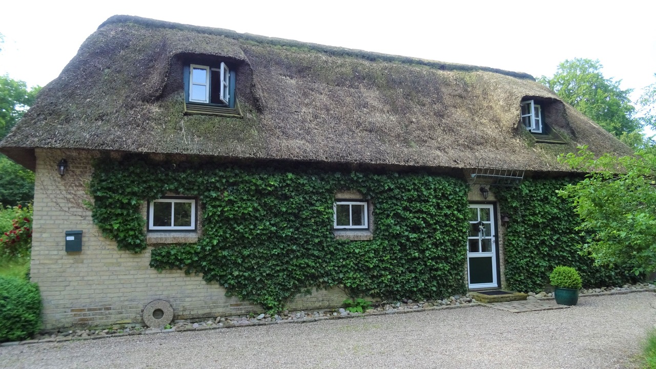 Photo of Outdoor in Silberstedt