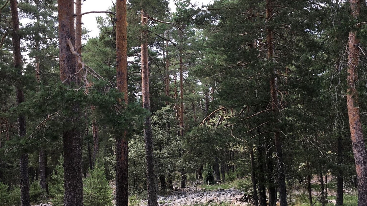 Photo of Outdoor in Orihuela del Tremedal