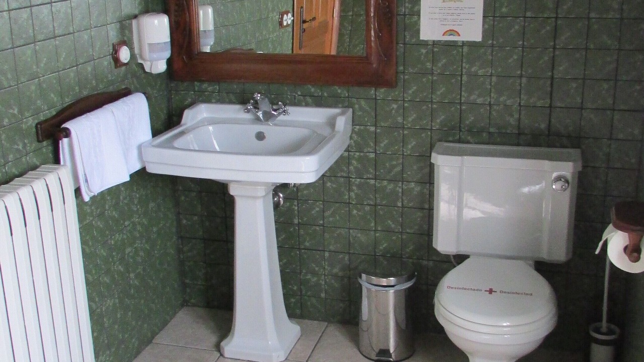 Photo of Bathroom in Salinas de Jaca