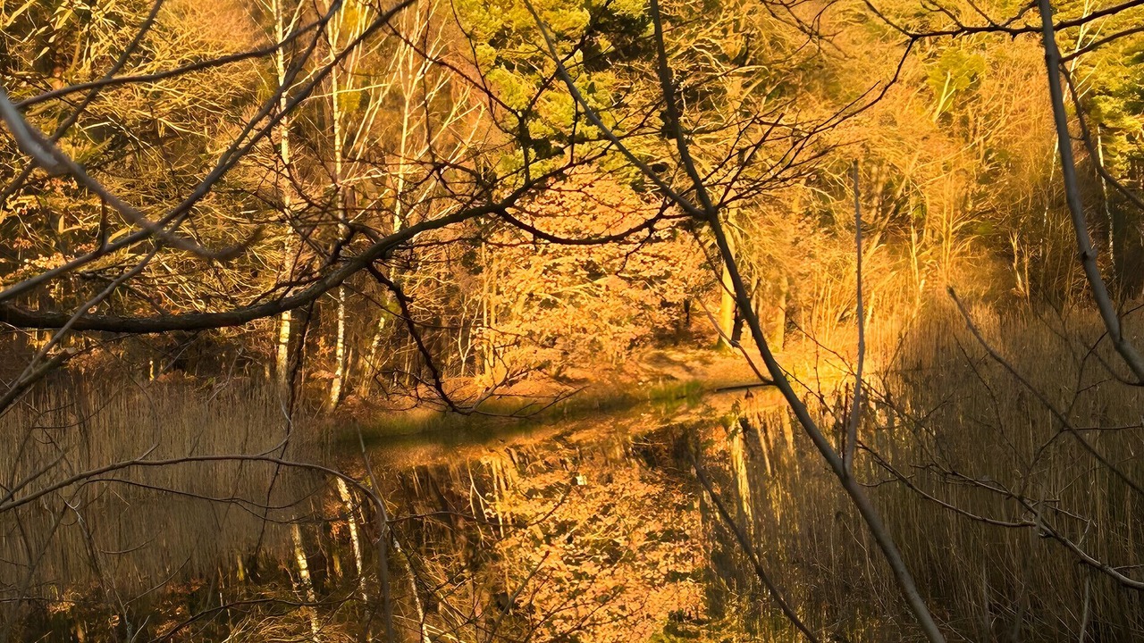 Photo of Others in Kirchmoser