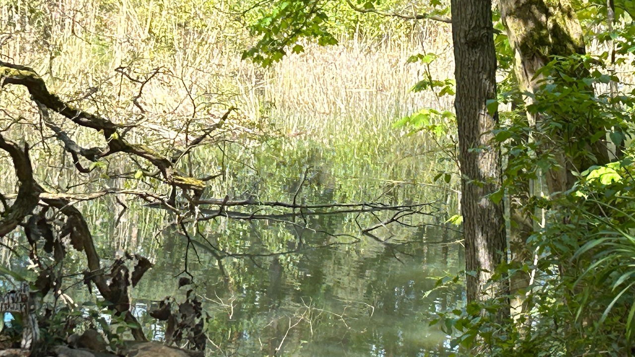 Photo of Others in Kirchmoser