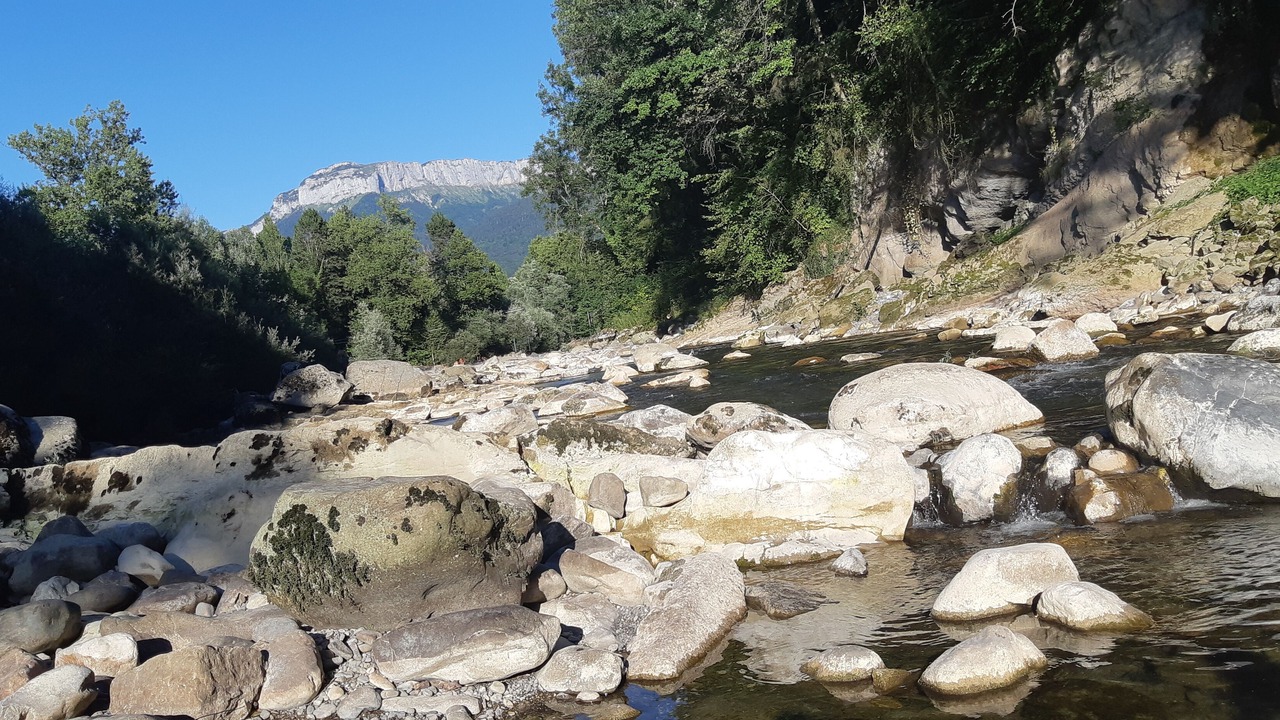 Photo of Others in La Balme-de-Sillingy