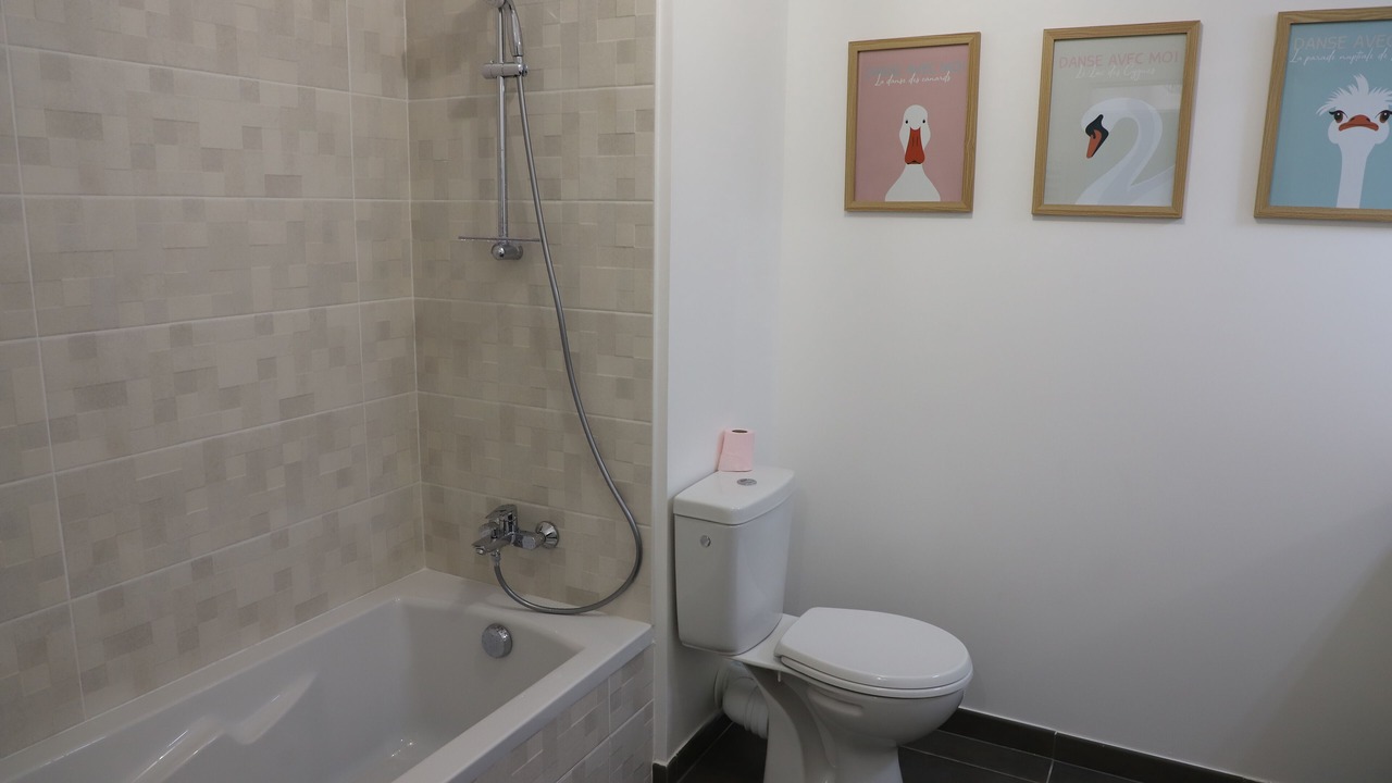 Photo of Bathroom in La Balme-de-Sillingy