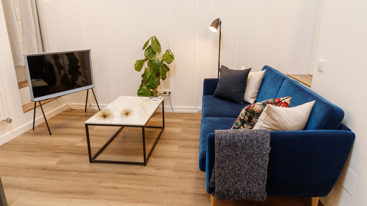 Photo of Livingroom in Embajadores