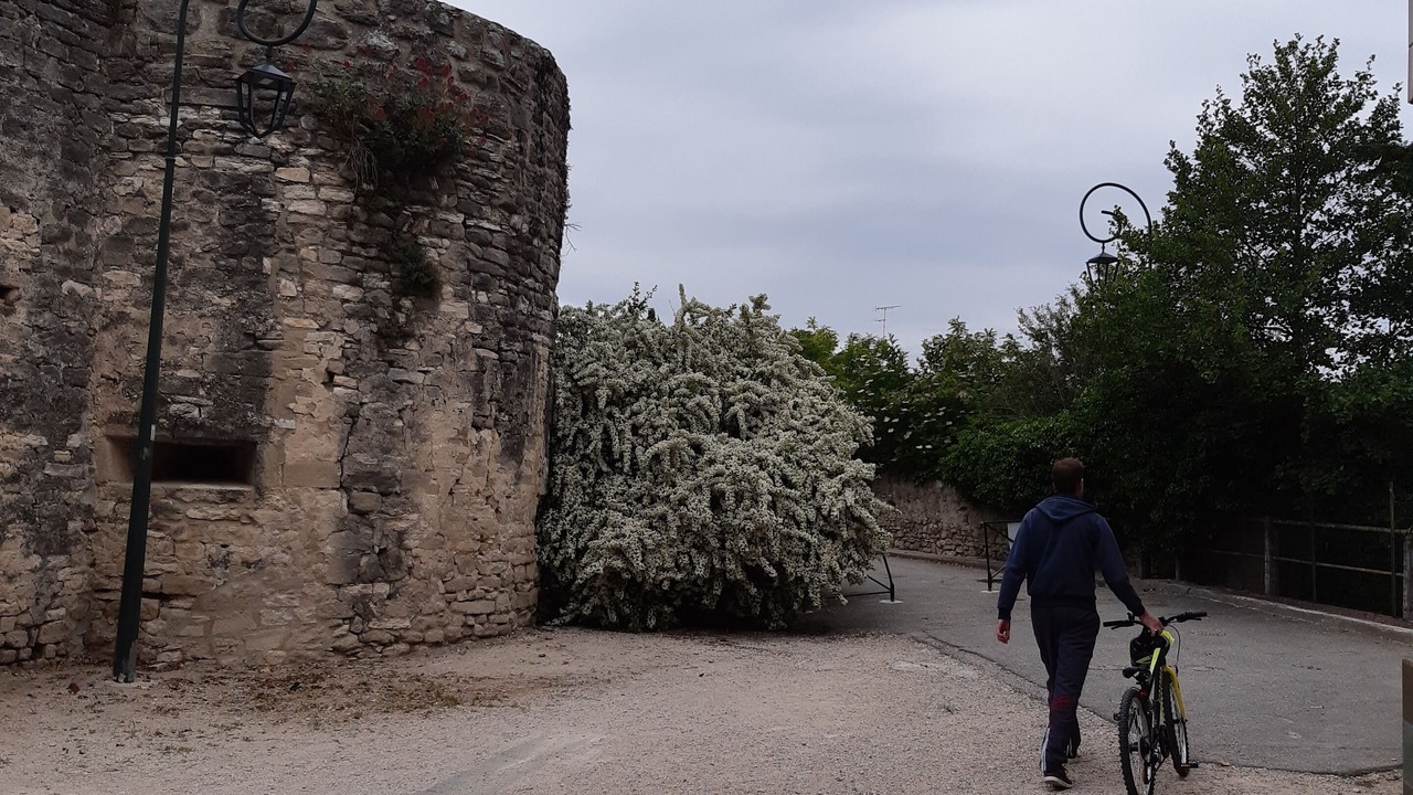 Photo of Others in Caumont-sur-Durance