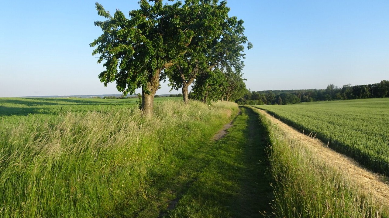 Photo of Outdoor in Ahlsdorf