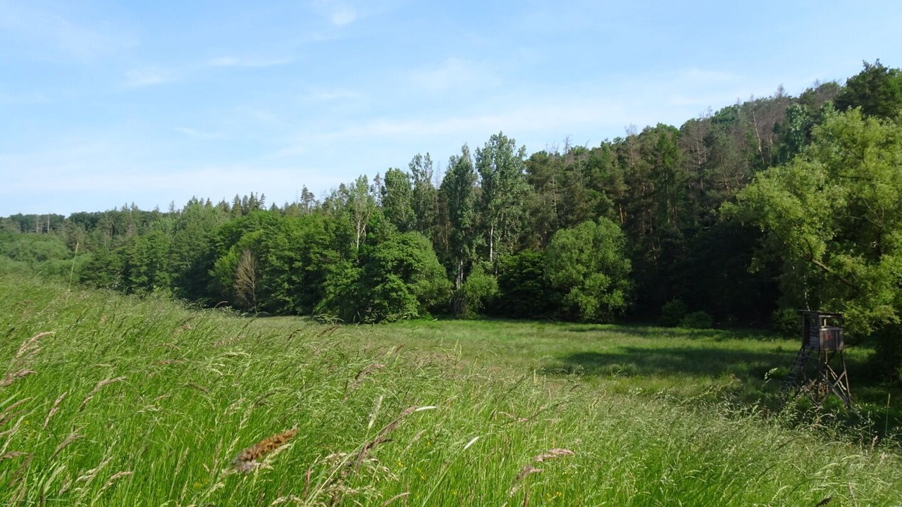 Photo of Outdoor in Ahlsdorf