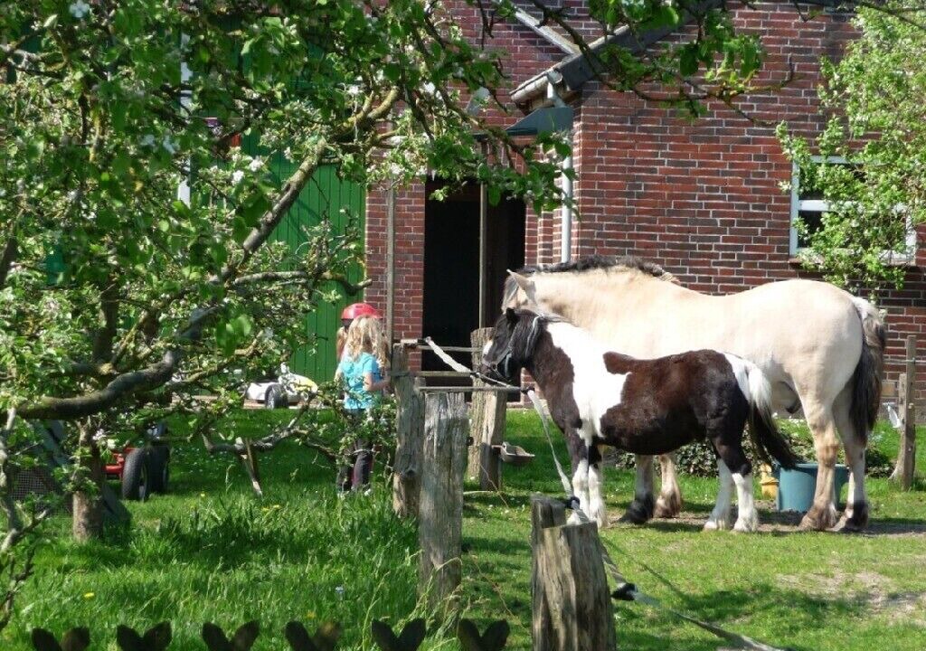 Photo of Outdoor in Uplengen