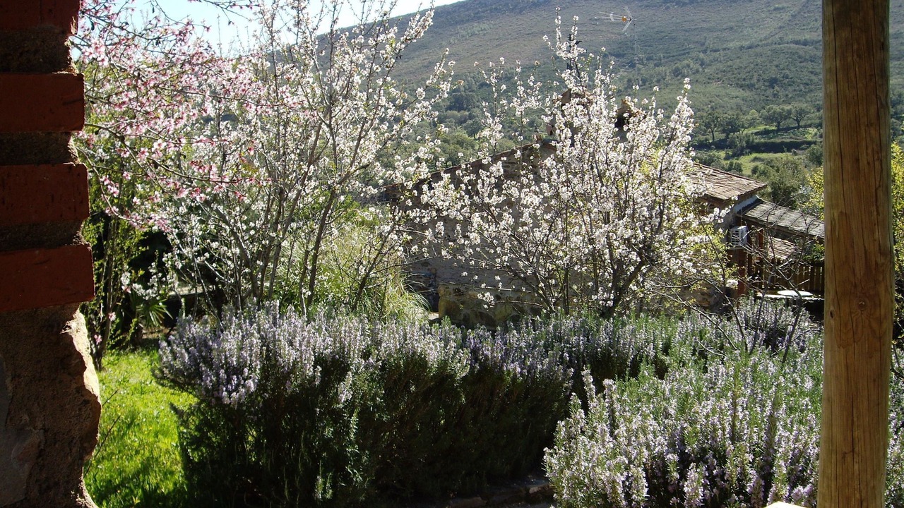 Photo of Outdoor in La Acena de la Borrega