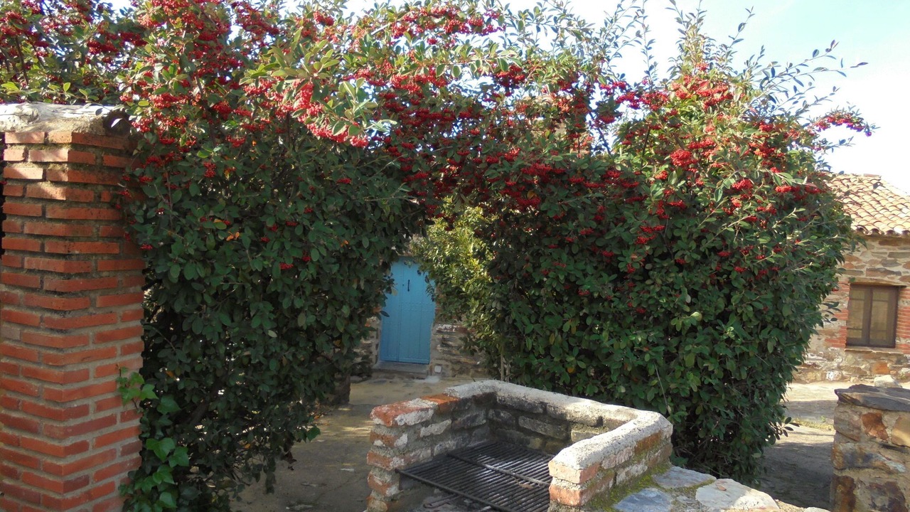 Photo of Outdoor in La Acena de la Borrega