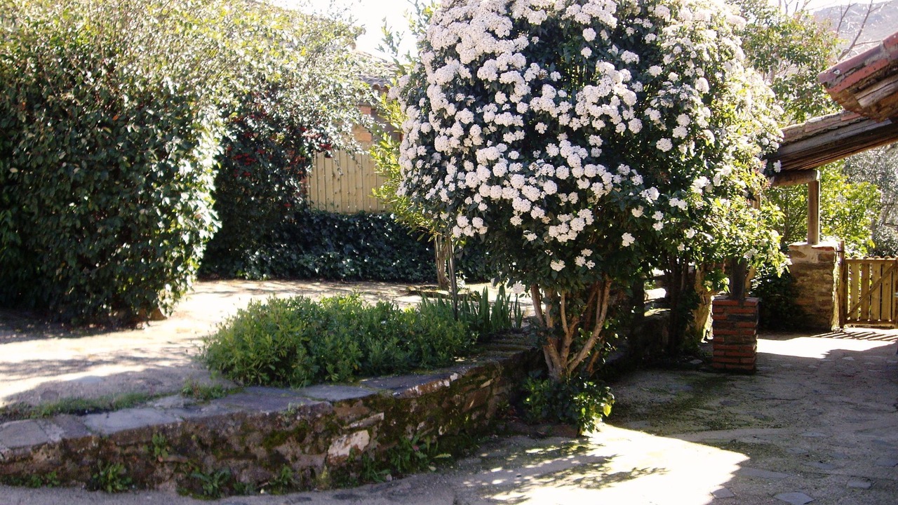Photo of Outdoor in La Acena de la Borrega