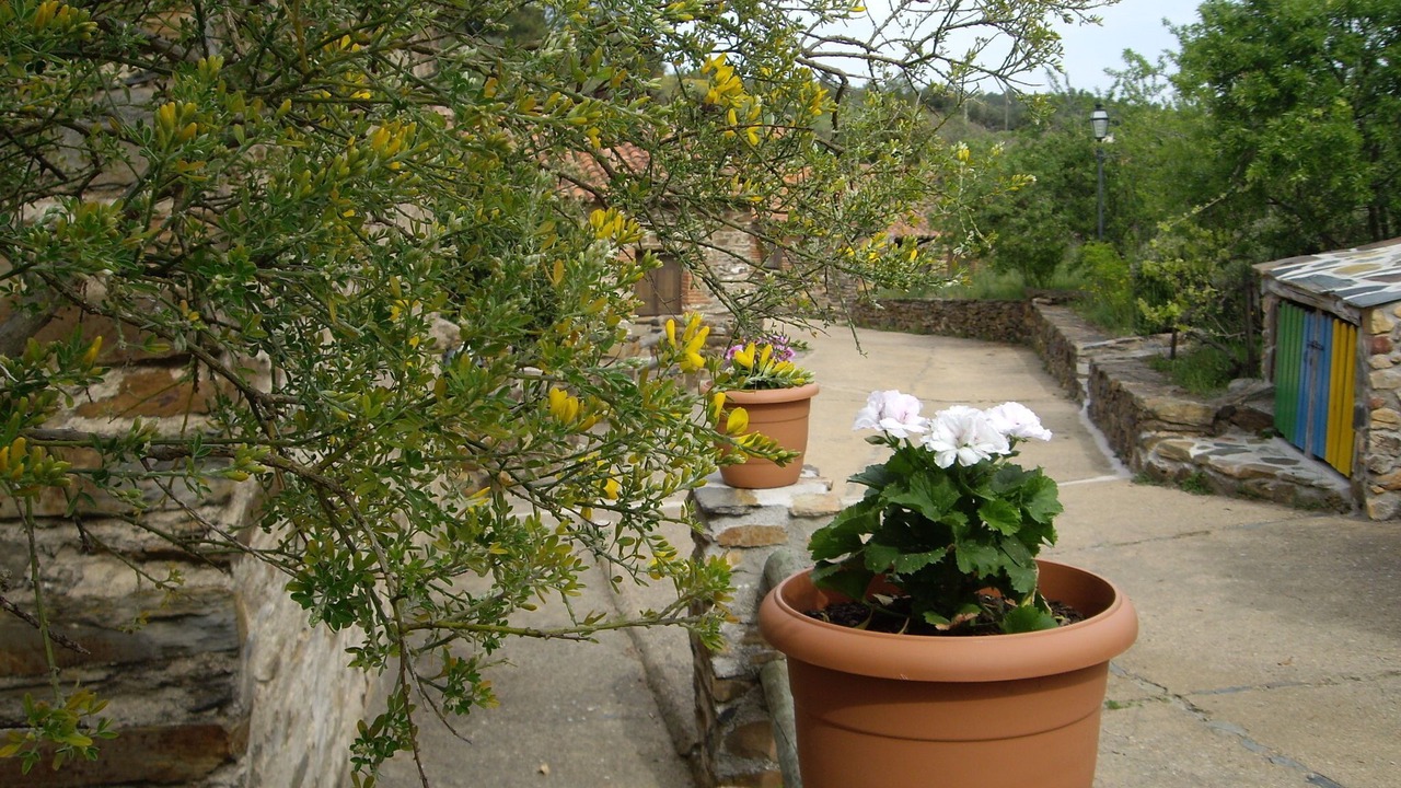 Photo of Outdoor in La Acena de la Borrega